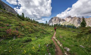 valley of flowers